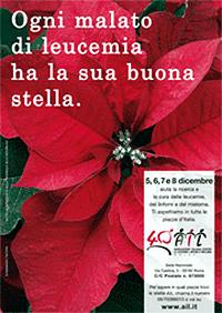 Le Stelle di Natale AIL valgono la vita! AIL - Associazione Italiana contro le 